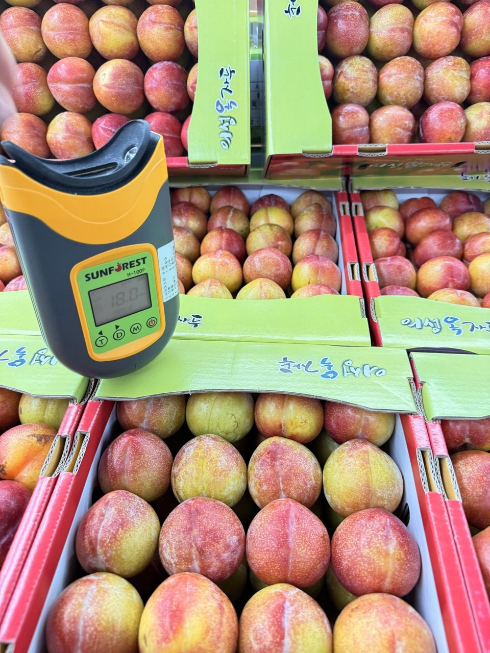 옥성 자두 2kg